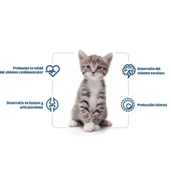 Nath Kitten Pollo y Arroz pienso para gatos Outlet