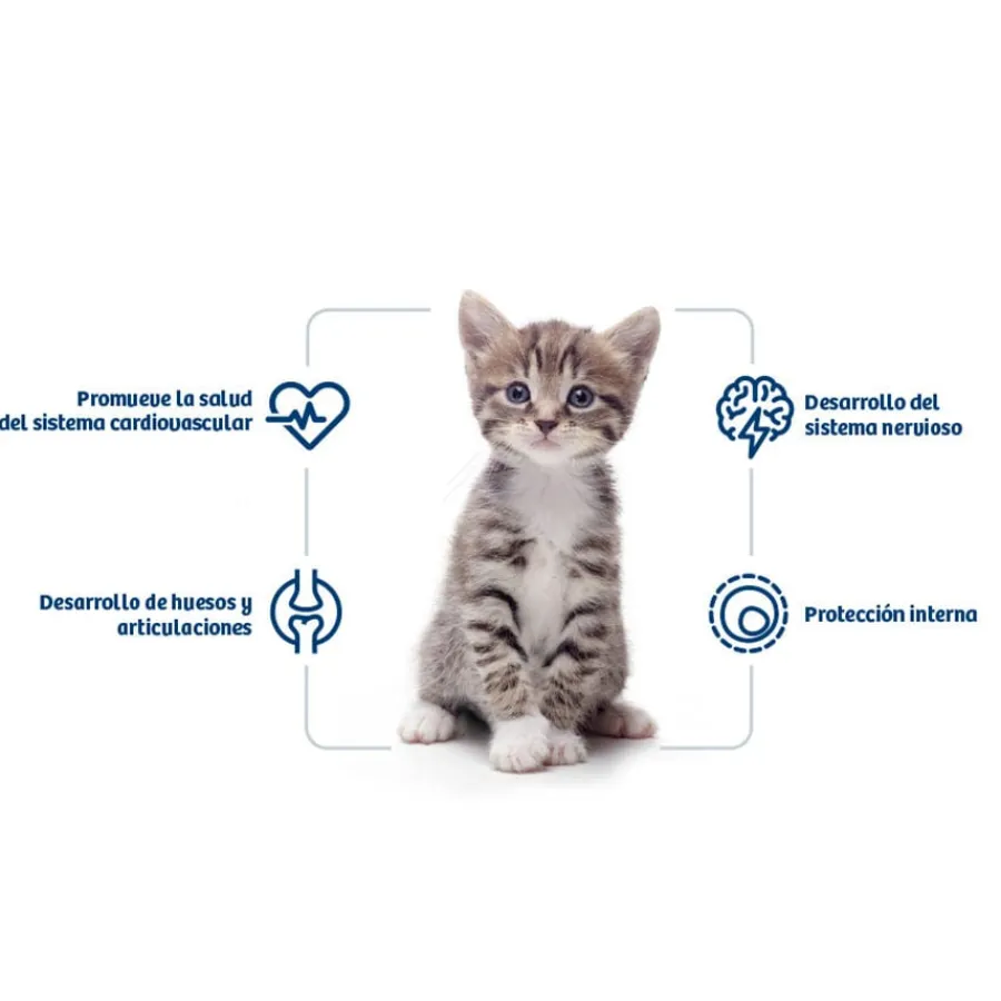 Nath Kitten Pollo y Arroz pienso para gatos Outlet