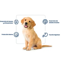 Nath Puppy Medium Maxi Pollo Pienso para Perros Outlet
