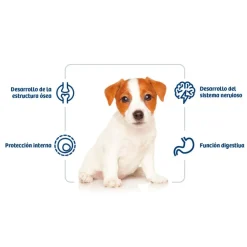 Nath Puppy Mini Pollo pienso para perros Outlet