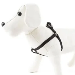 Nayeco Basic Arnés Negro para perros Outlet