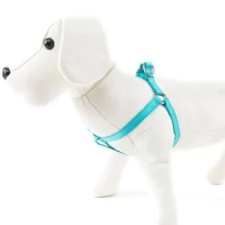 Nayeco Basic Arnés Turquesa para perros Outlet