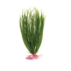 Amtra Nayeco Croci Planta Artificial Acorus para acuarios Best