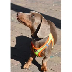 Nayeco X-TRM Neo Amarillo arnés para perros Outlet