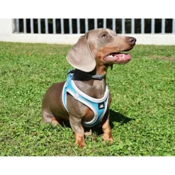 Nayeco X-TRM Neo Azul arnés para perros Discount