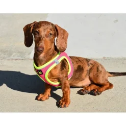 Nayeco X-TRM Neo Fucsia arnés para perros Best