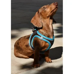 Nayeco X-TRM Neo Marrón arnés para perros Discount