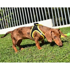 Nayeco X-TRM Neo Negro arnés para perros