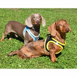Nayeco X-TRM Neo Negro arnés para perros