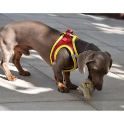 Nayeco X-TRM Neo Rojo arnés para perros Clearance