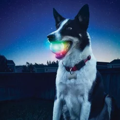 Nite Ize Glowstreak Disc-O LED Pelota para perros Clearance