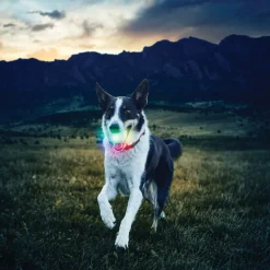 Nite Ize Glowstreak Disc-O LED Pelota para perros Clearance