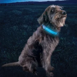 Nite Ize NiteDog Banda LED Recargable para perros Sale