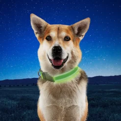 Nite Ize NiteDog Collar Led Recargable Verde para perros Hot