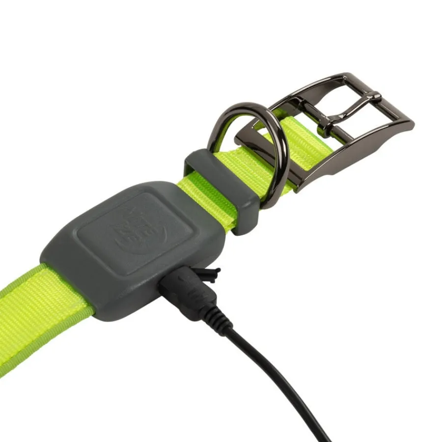 Nite Ize NiteDog Collar Led Recargable Verde para perros Hot