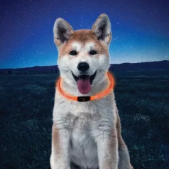 Nite Ize NiteHowl Collar de Seguridad Led Naranja para perros Clearance