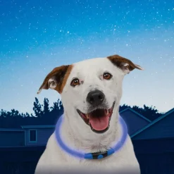 Nite Ize NiteHowl Collar con Luz LED Azul para perros Discount