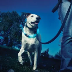 Nite Ize NiteHowl Collar con Luz LED Azul para perros Discount