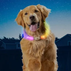 Nite Ize NiteHowl Max Collar de Seguridad LED para perros Online