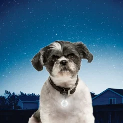 Nite Ize PetLit Luz LED Blanca con mosquetón para collar para perros Sale