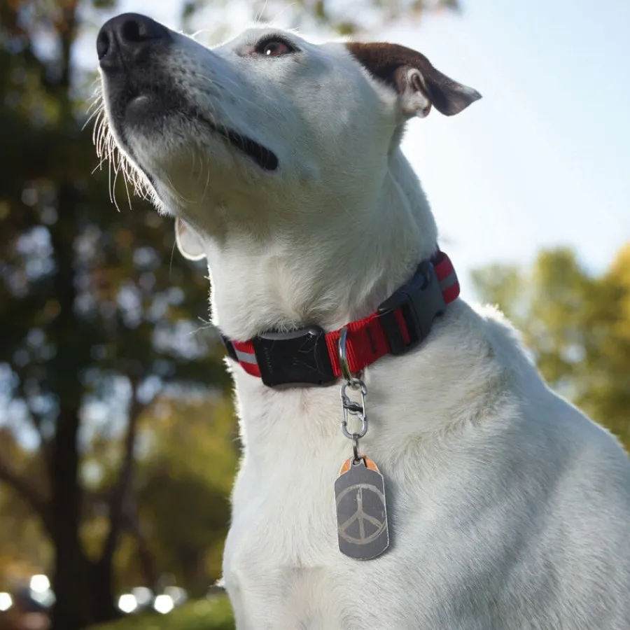 Nite Ize S-Biner TagLock Mosquetón para perros Hot
