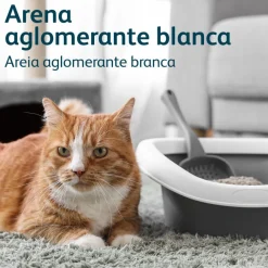 Nova Clean Ultra Arena Aglomerante de Talco para gatos Online