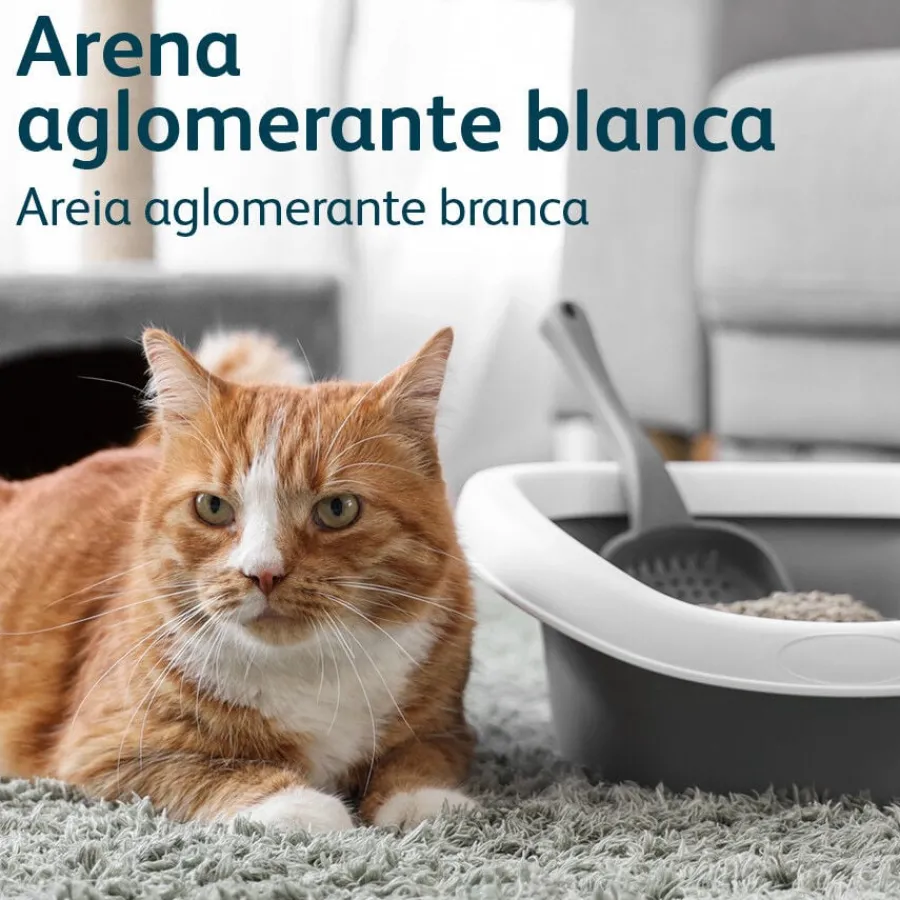 Nova Clean Ultra Arena Aglomerante de Talco para gatos Online