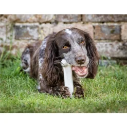 Nylabone Extreme Chew Pollo Hueso Mordedor para perros Online