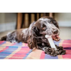 Nylabone Extreme Chew Pollo Hueso Mordedor para perros Online