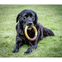 Nylabone Extreme Chew Ring Mordedor Redondo Sabor a Hamburguesa para perros Clearance