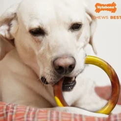 Nylabone Extreme Chew Ring Mordedor Redondo Sabor a Hamburguesa para perros Clearance