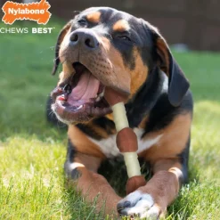 Nylabone Extreme Chew Shish Kebab Alternative Mordedor Resistente Pollo para perros Online