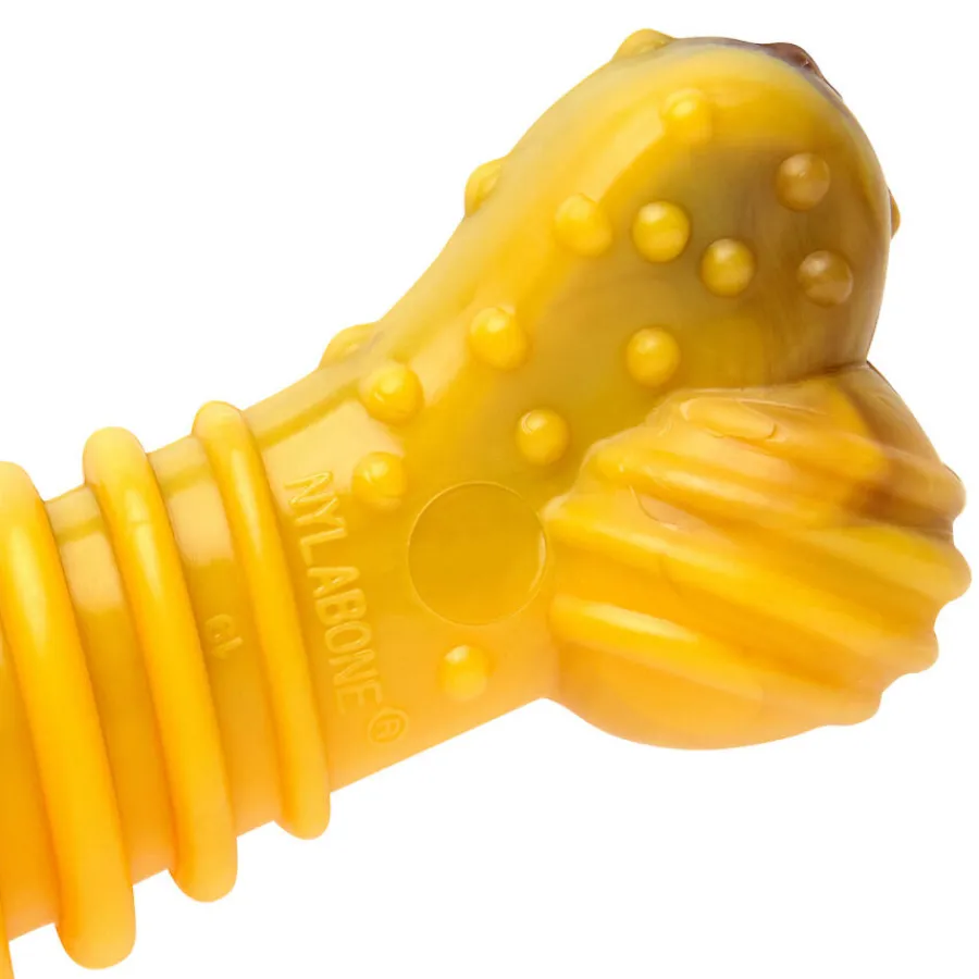 Nylabone Extreme Chew Texture Hueso Mordedor Resistente para perros Best