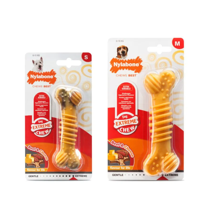 Nylabone Extreme Chew Texture Hueso Mordedor Resistente para perros Best