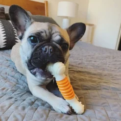 Nylabone Hueso Mordedor Dental Sabor a Bacon para perros Hot