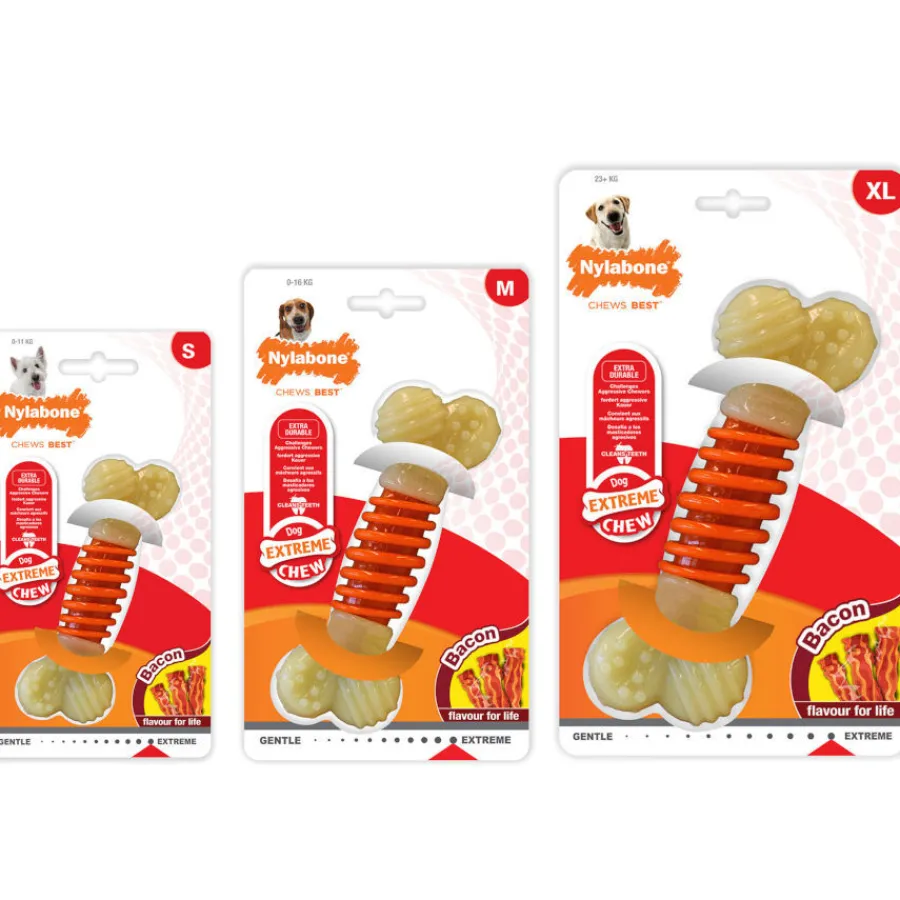 Nylabone Hueso Mordedor Dental Sabor a Bacon para perros Hot