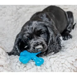 Nylabone Hueso X Mordedor Sabor a Carne para cachorros New