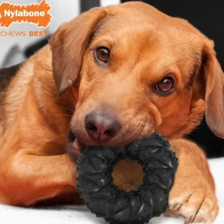 Nylabone Strong Max Braided Chew Anillo Mordedor Sabor a Carne para perros Best