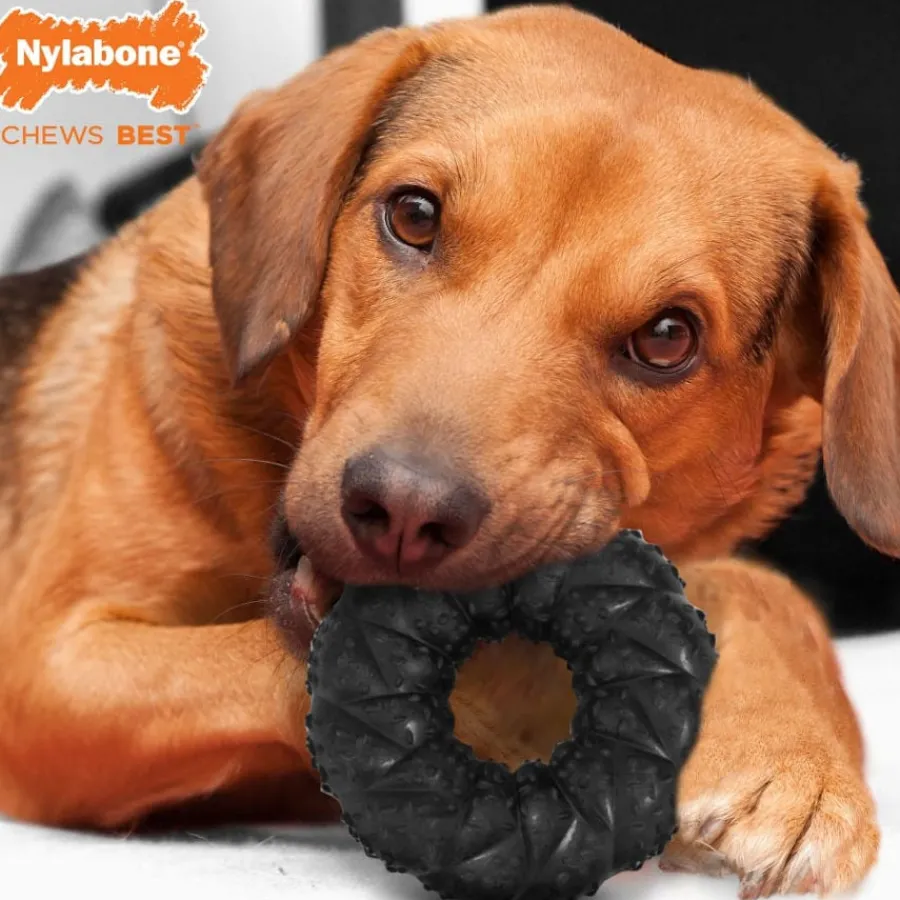 Nylabone Strong Max Braided Chew Anillo Mordedor Sabor a Carne para perros Best