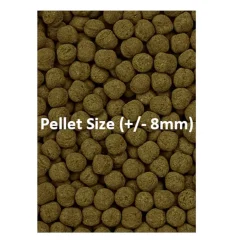 Ocean Nutrition Formula Two Marine Pellet para peces tropicales Clearance