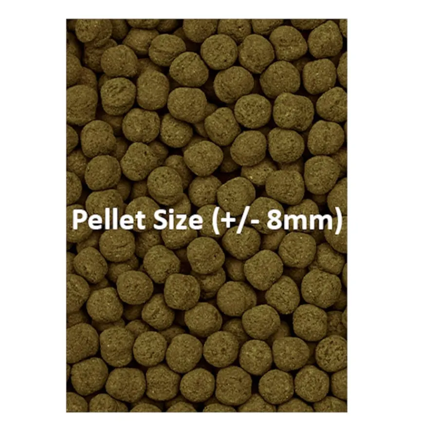 Ocean Nutrition Formula Two Marine Pellet para peces tropicales Clearance