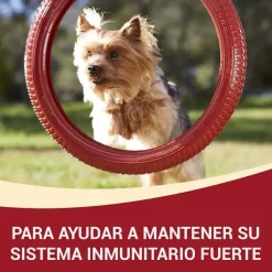 Purina One One Adult Mini Small Pollo y Cordero en Salsa sobre para perros Discount