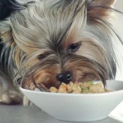 Purina One One Adult Mini Small Pollo y Cordero en Salsa sobre para perros Discount