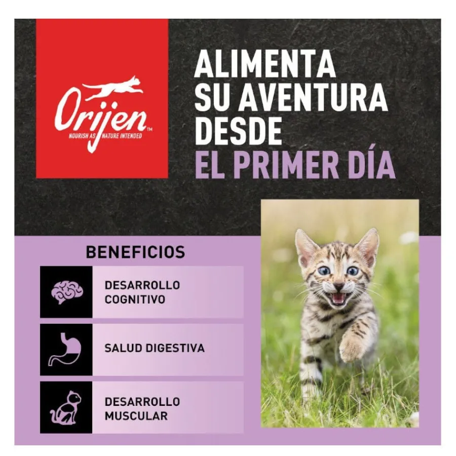 Orijen Kitten Aves y Pescado pienso para gatitos Best
