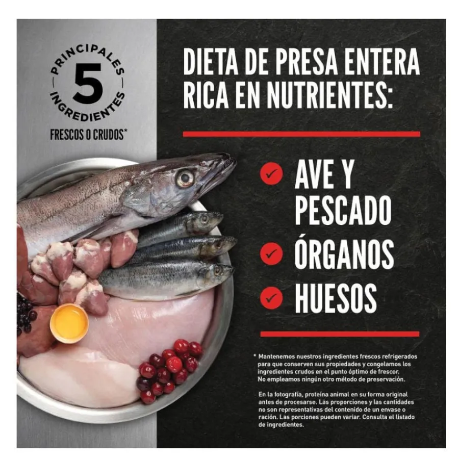 Orijen Kitten Aves y Pescado pienso para gatitos Best