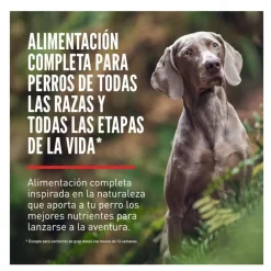 Orijen Original pienso para perros Clearance