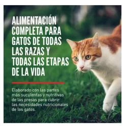 Orijen Regional Red pienso para gatos y gatitos Outlet
