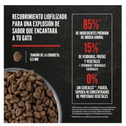 Orijen Regional Red pienso para gatos y gatitos Outlet