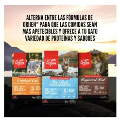 Orijen Regional Red pienso para gatos y gatitos Outlet