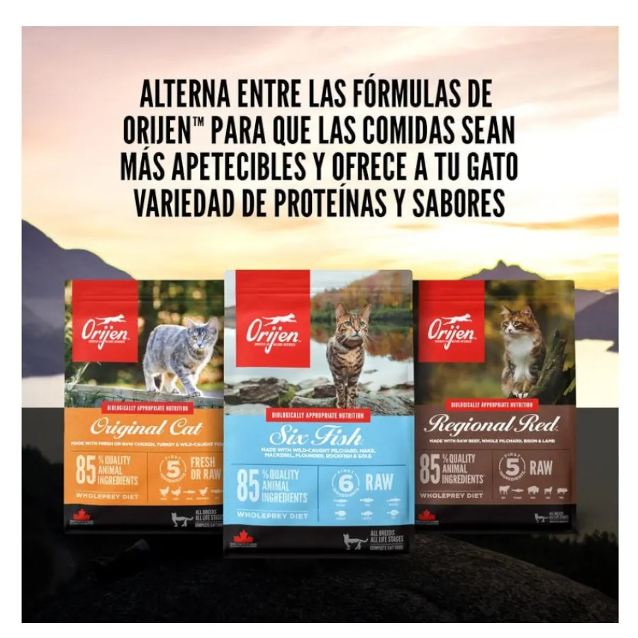 Orijen Regional Red pienso para gatos y gatitos Outlet